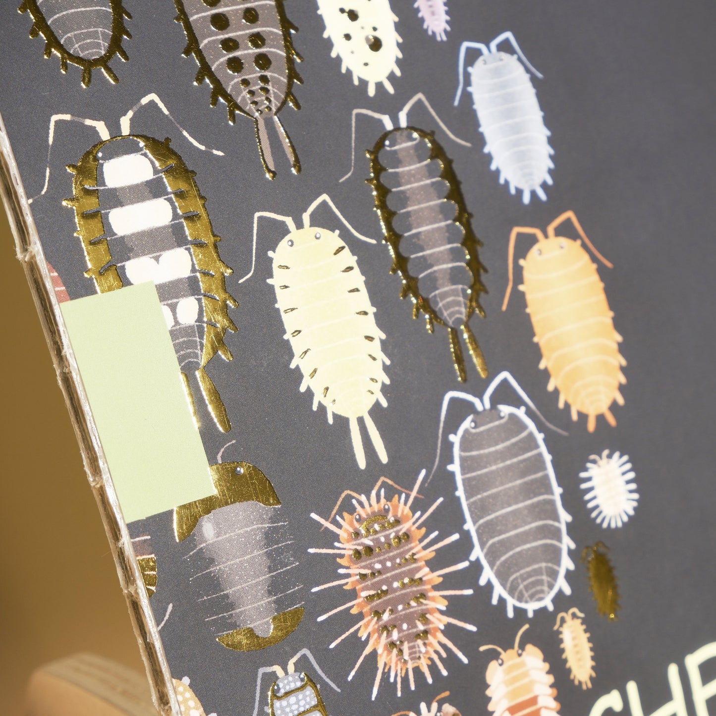 *SHOP DROP* "Art of Chentomology Vol. 1" artbook