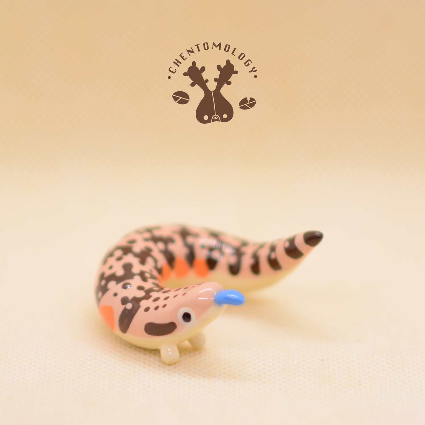 Northern Blue tongued skink desk friend