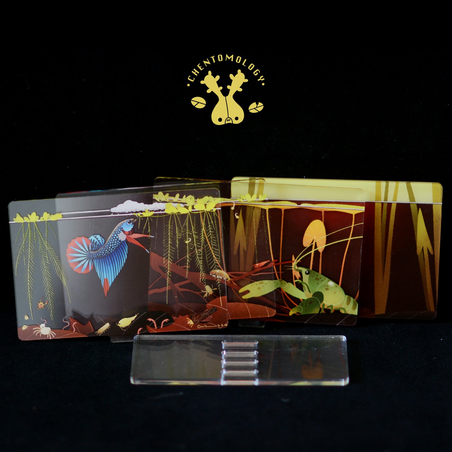 Betta swamp 4-layer acrylic standee