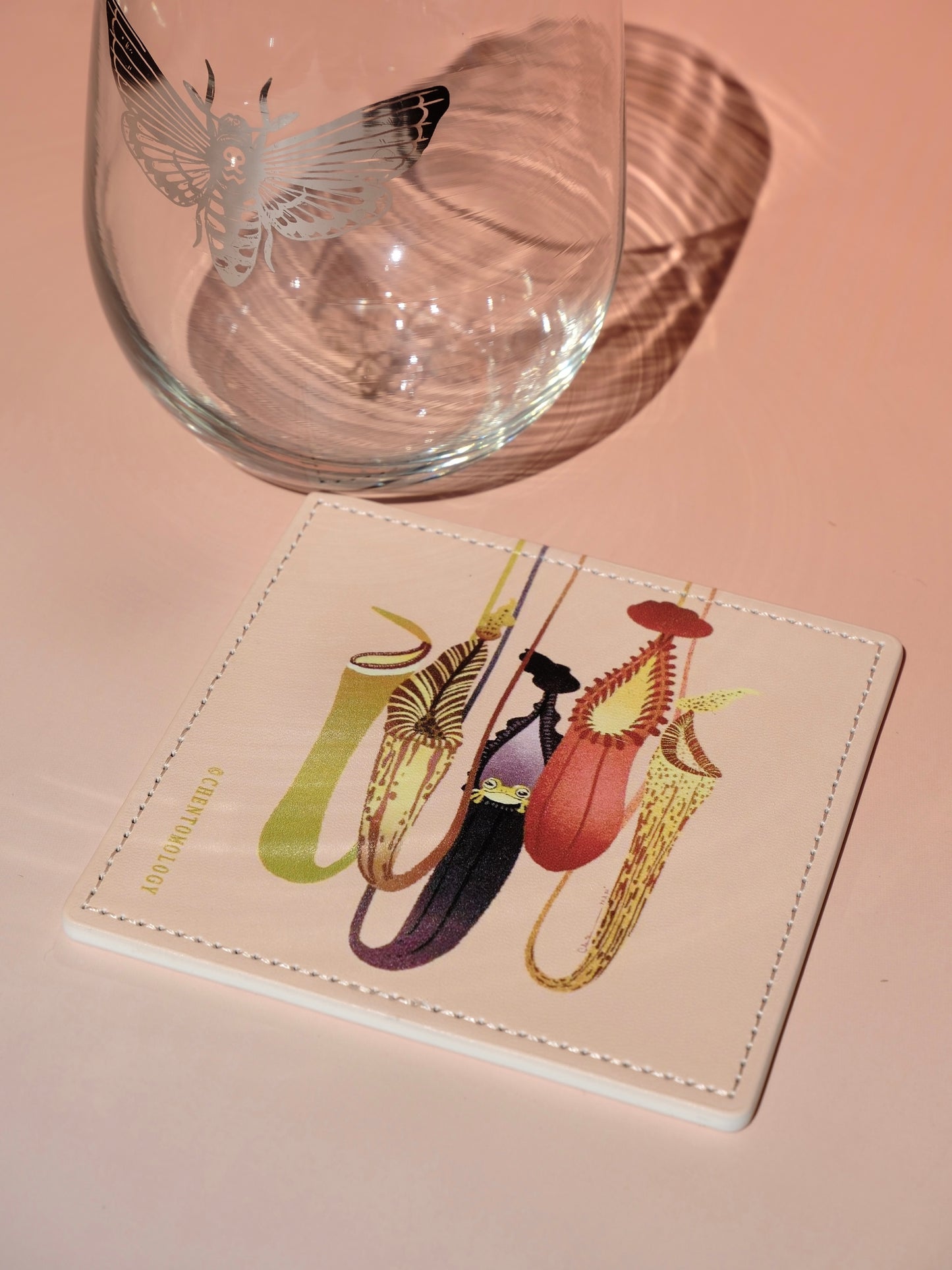 Nepenthes leather coaster