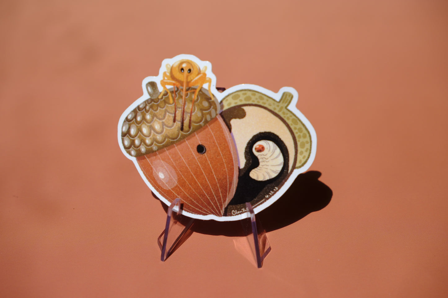 Acorn weevil waterproof glossy sticker