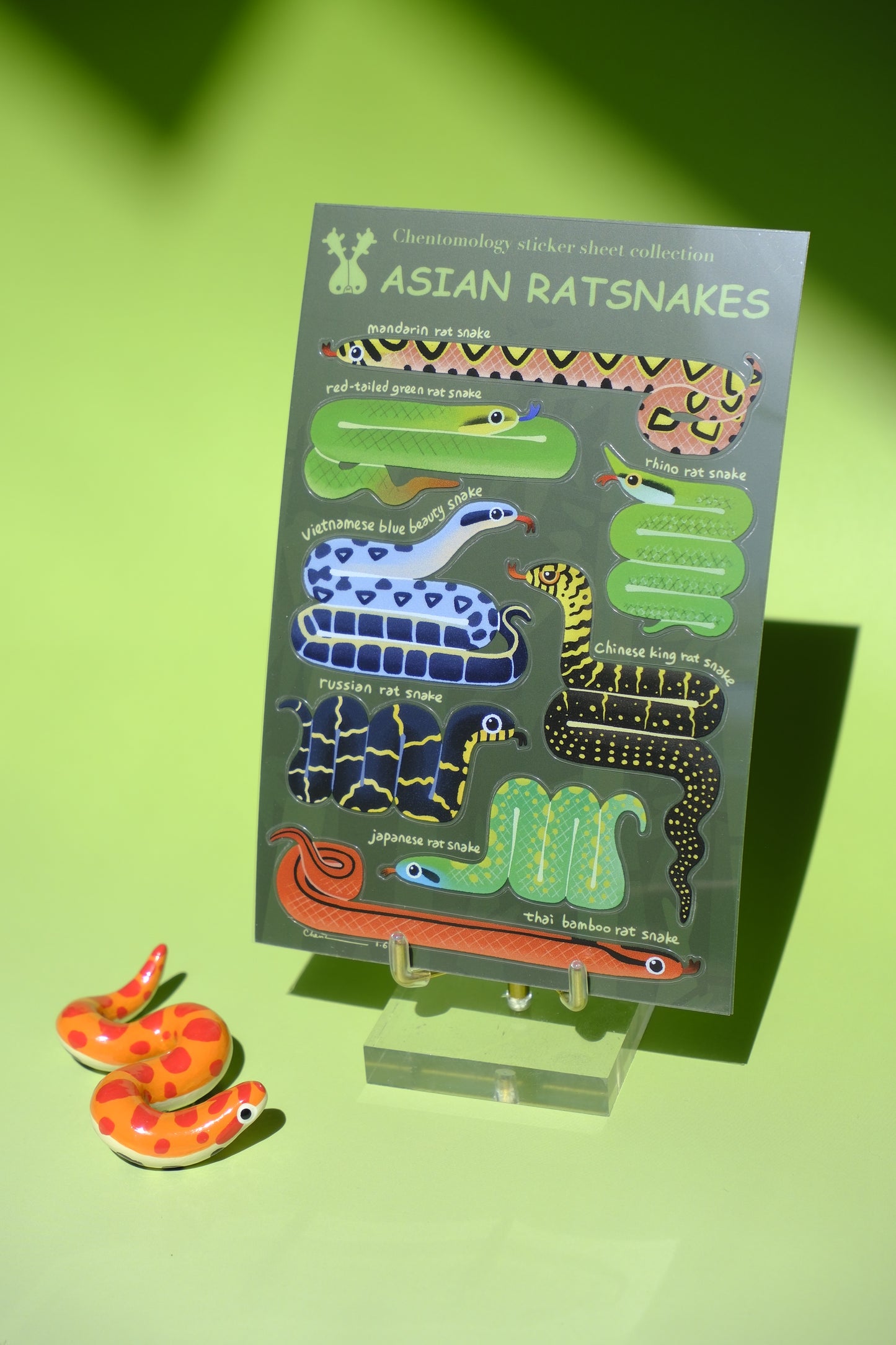 Transparent sticker sheet - Asian Ratsnakes