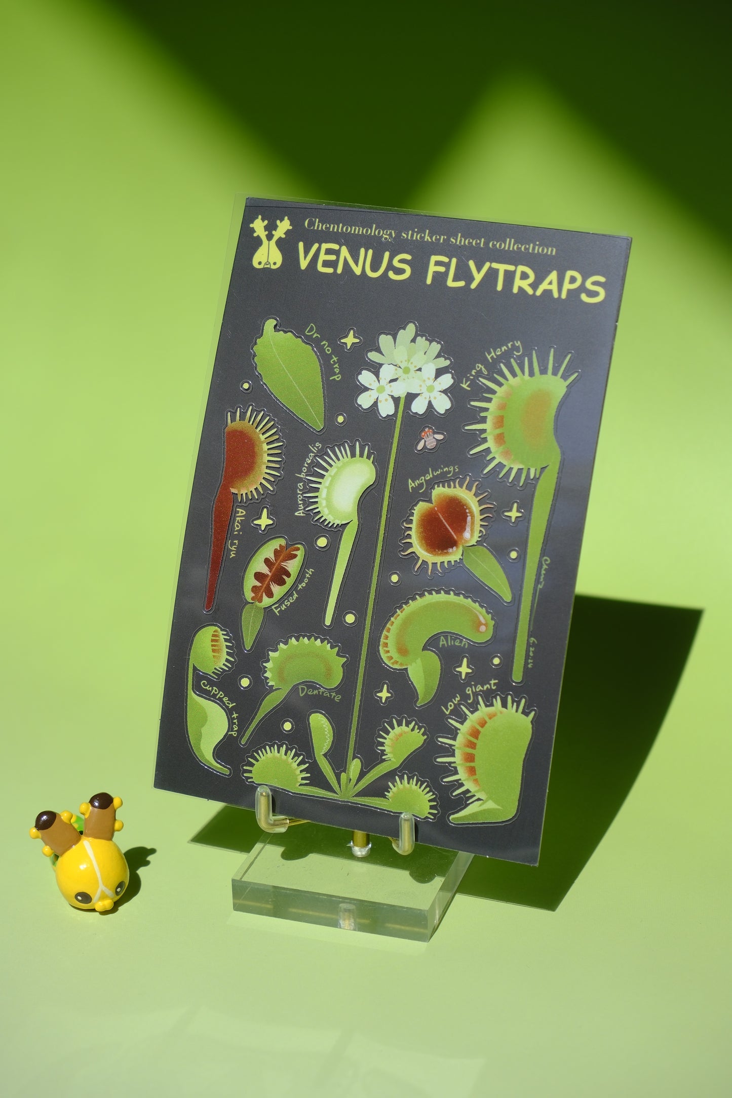 Transparent sticker sheet - Venus flytraps