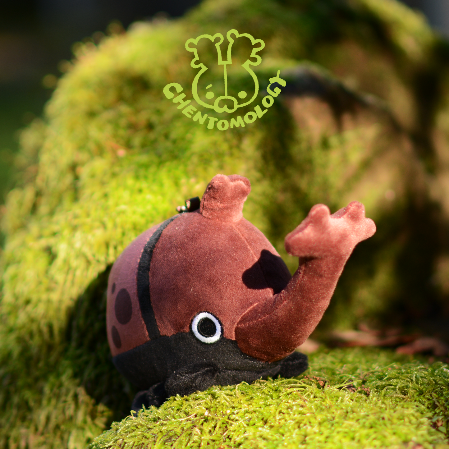 Kabo the rhino beetle plushie