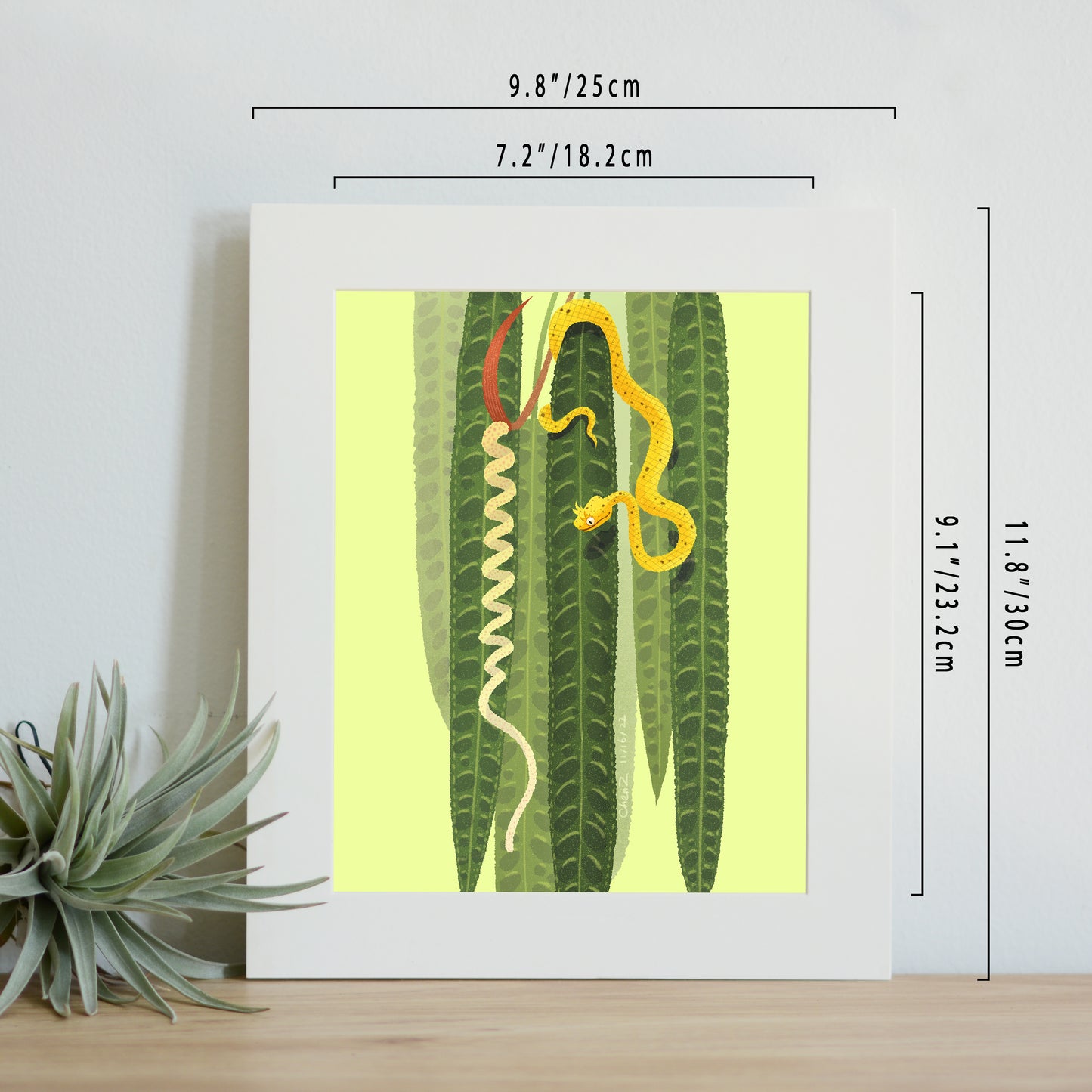 Anthurium and eyelash viper print