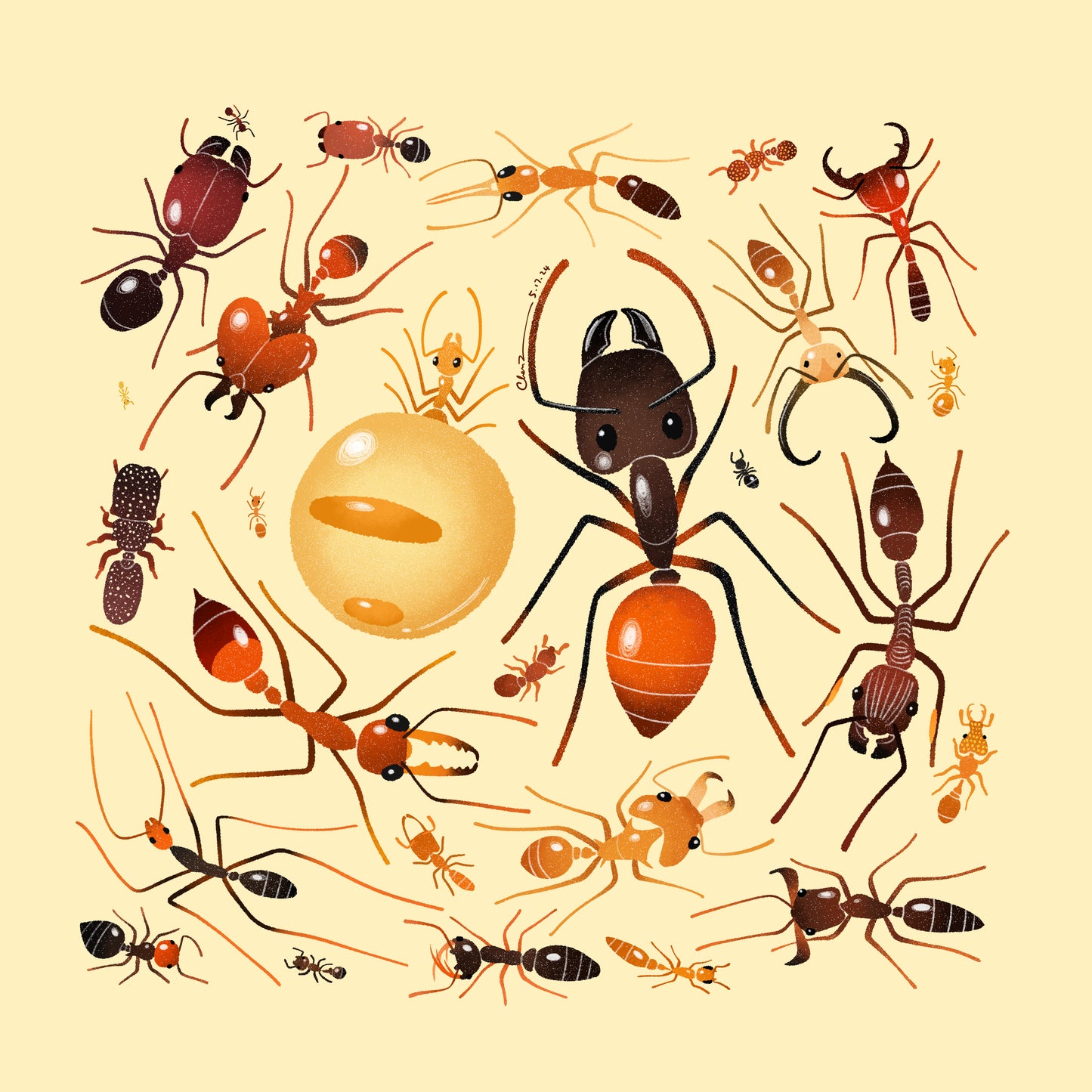 Ants print