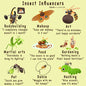 Insect influencers print