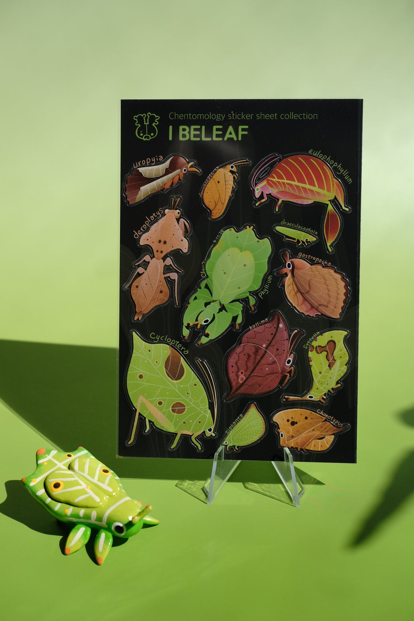 Transparent sticker sheet - I Beleaf