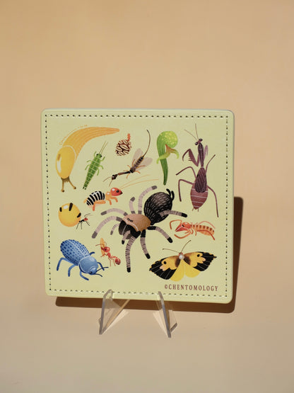 West coaster leather coaster