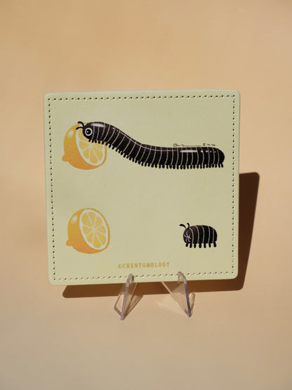 Lemon tasting millipede leather coaster