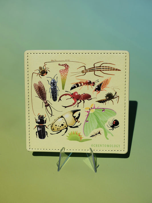 East coaster leather coaster