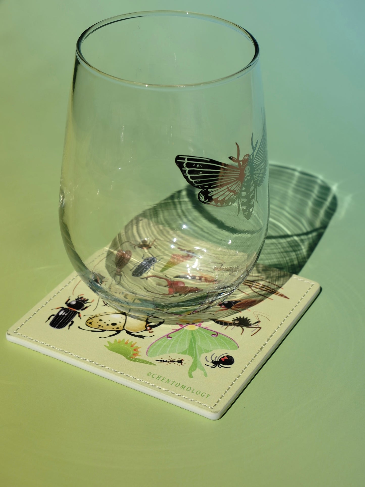 East coaster leather coaster