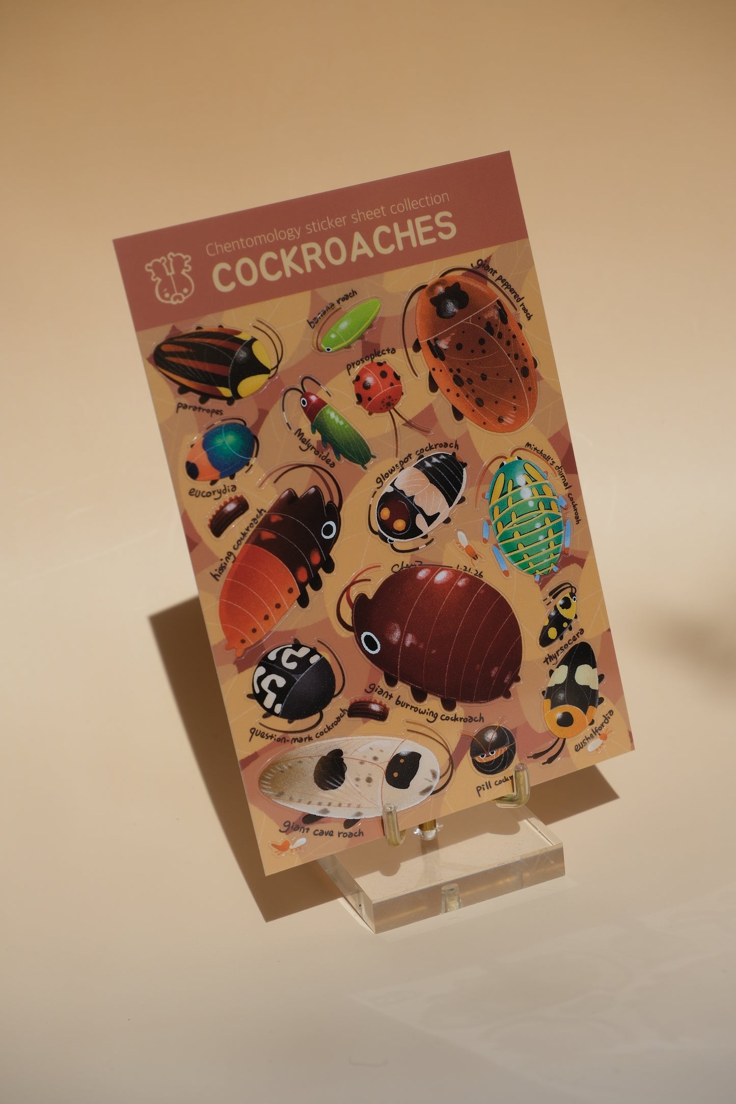 Transparent sticker sheet - Cockroaches