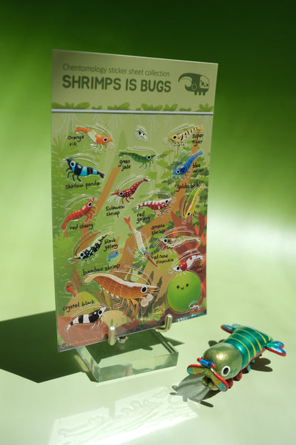 Transparent sticker sheet - Shrimps is Bugs