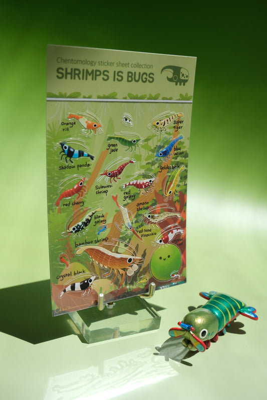 Transparent sticker sheet - Shrimps is Bugs
