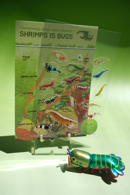 Transparent sticker sheet - Shrimps is Bugs