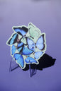 Morpho butterfly waterproof glittery sticker