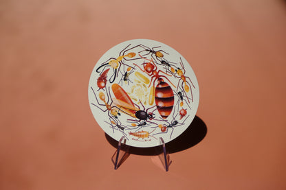 Army ants waterproof sticker