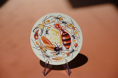 Army ants waterproof sticker