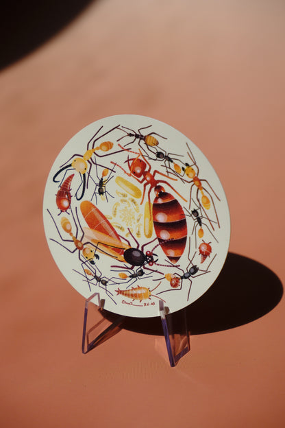 Army ants waterproof sticker