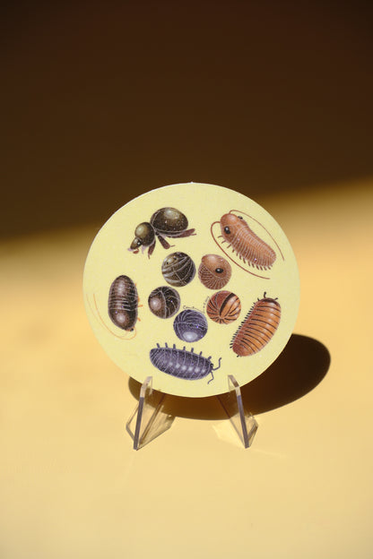 Roly-poly arthropods waterproof glittery sticker