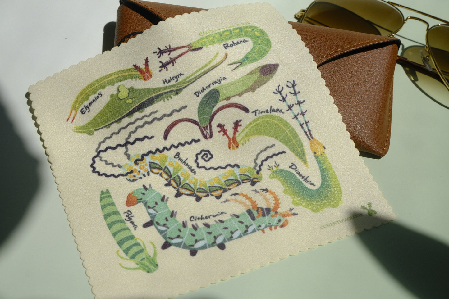 Caterpillar glass cloth