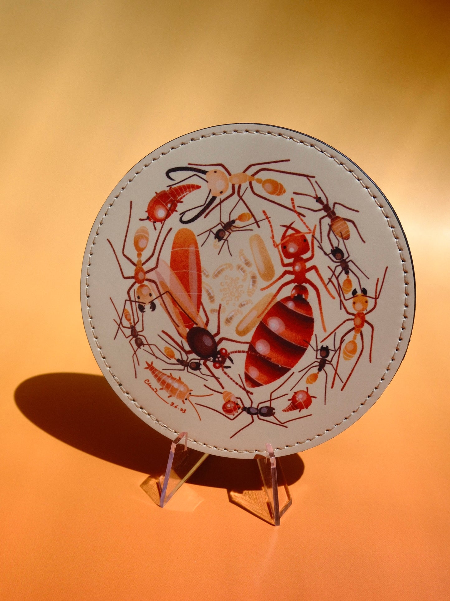 Ant leather coaster set 4 options