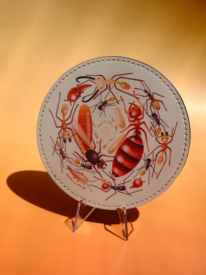 Ant leather coaster set 4 options