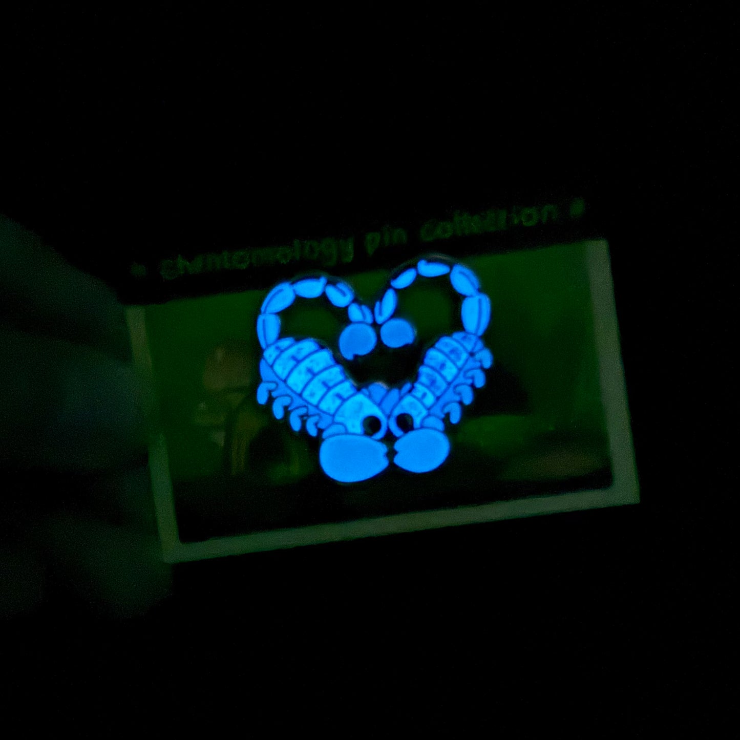 Scorpion dance enamel pin 1.5" - 3 variants