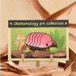 Cubaris isopod enamel pin 1.5" 4 variants