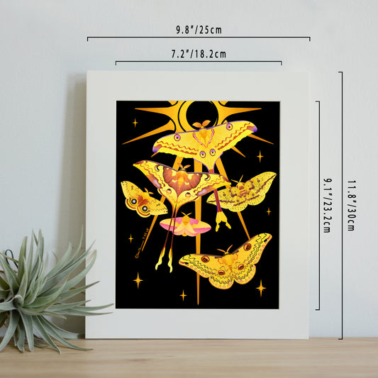 Moon moths and silk moths print