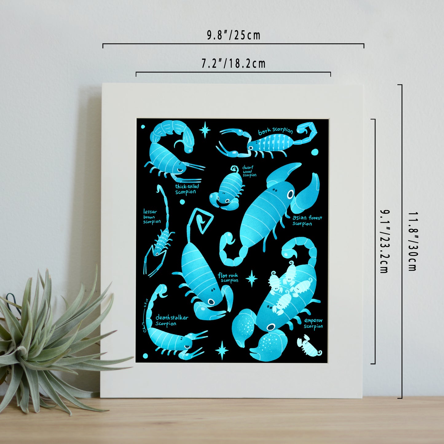 Scorpions print