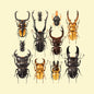 Stag beetles print