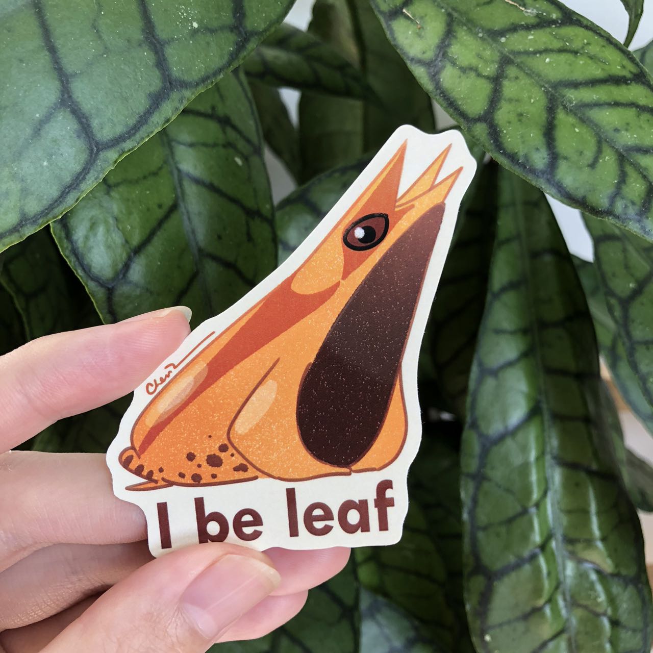 I beleaf leaf frog sticker