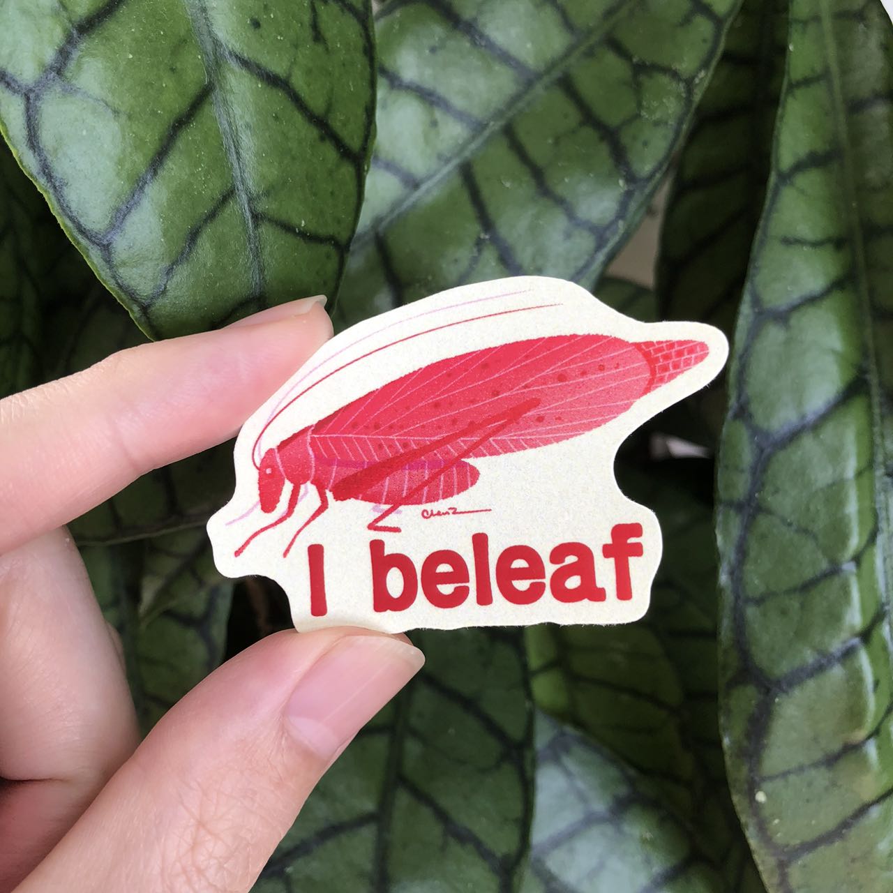 I beleaf pink katydid sticker