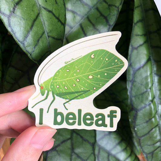 I beleaf green katydid sticker