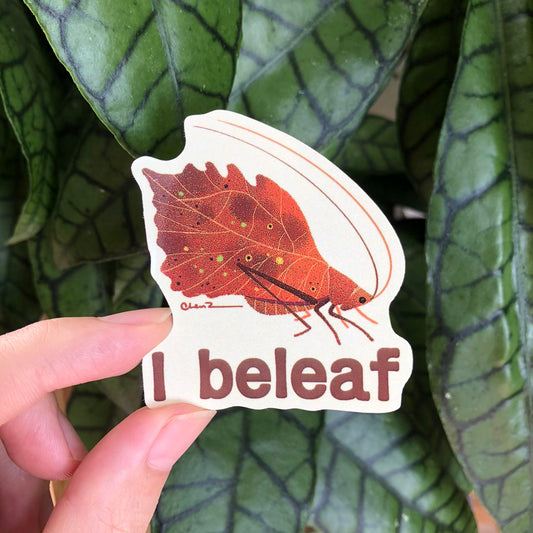 I beleaf brown katydid sticker