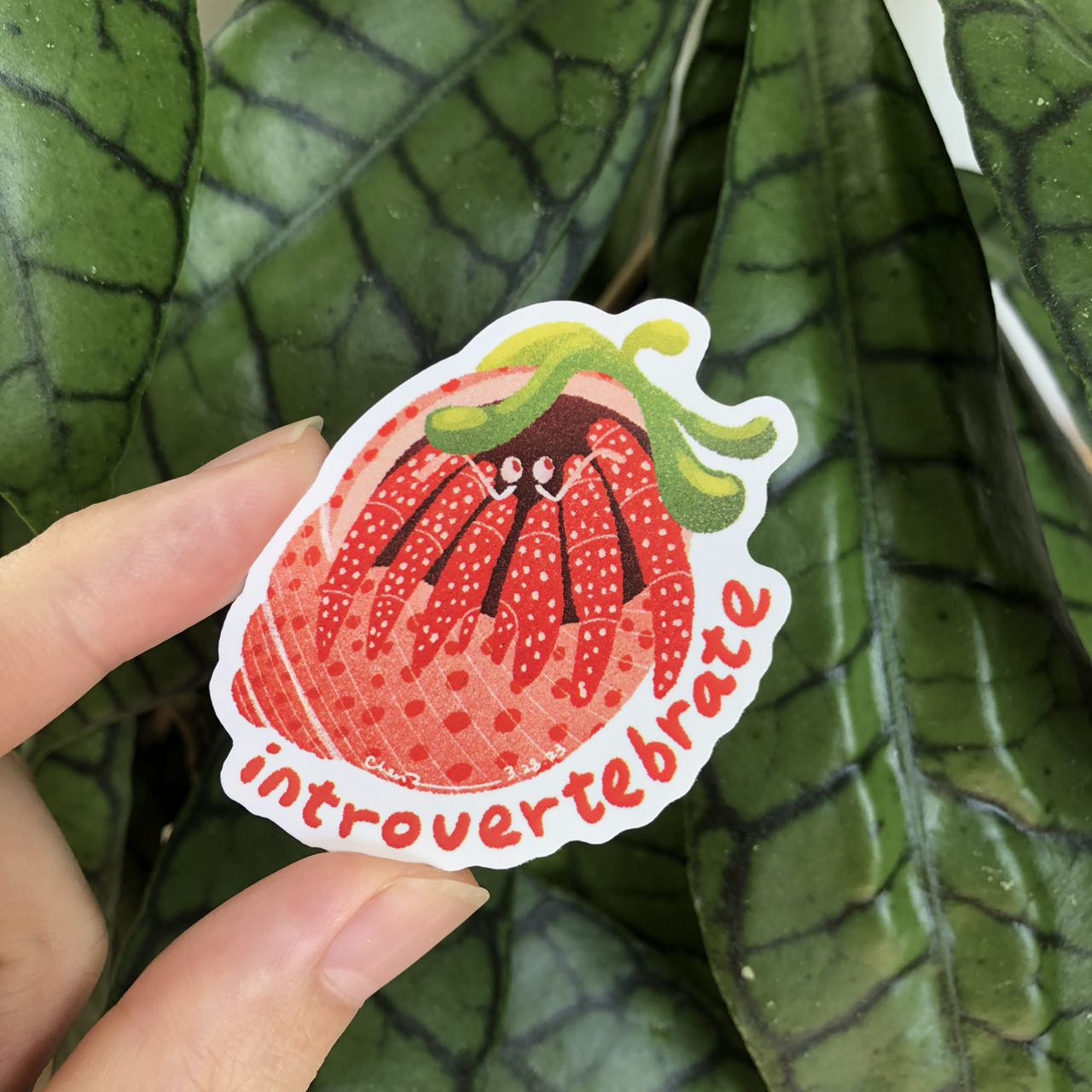 Introvertebrate hermit crab sticker