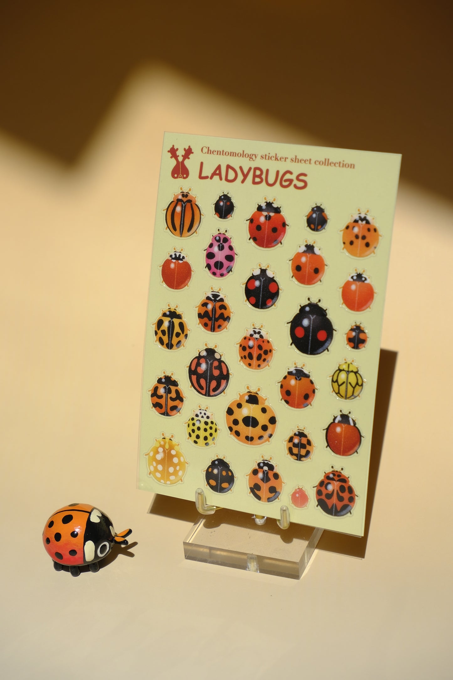 Transparent sticker sheet - Ladybug