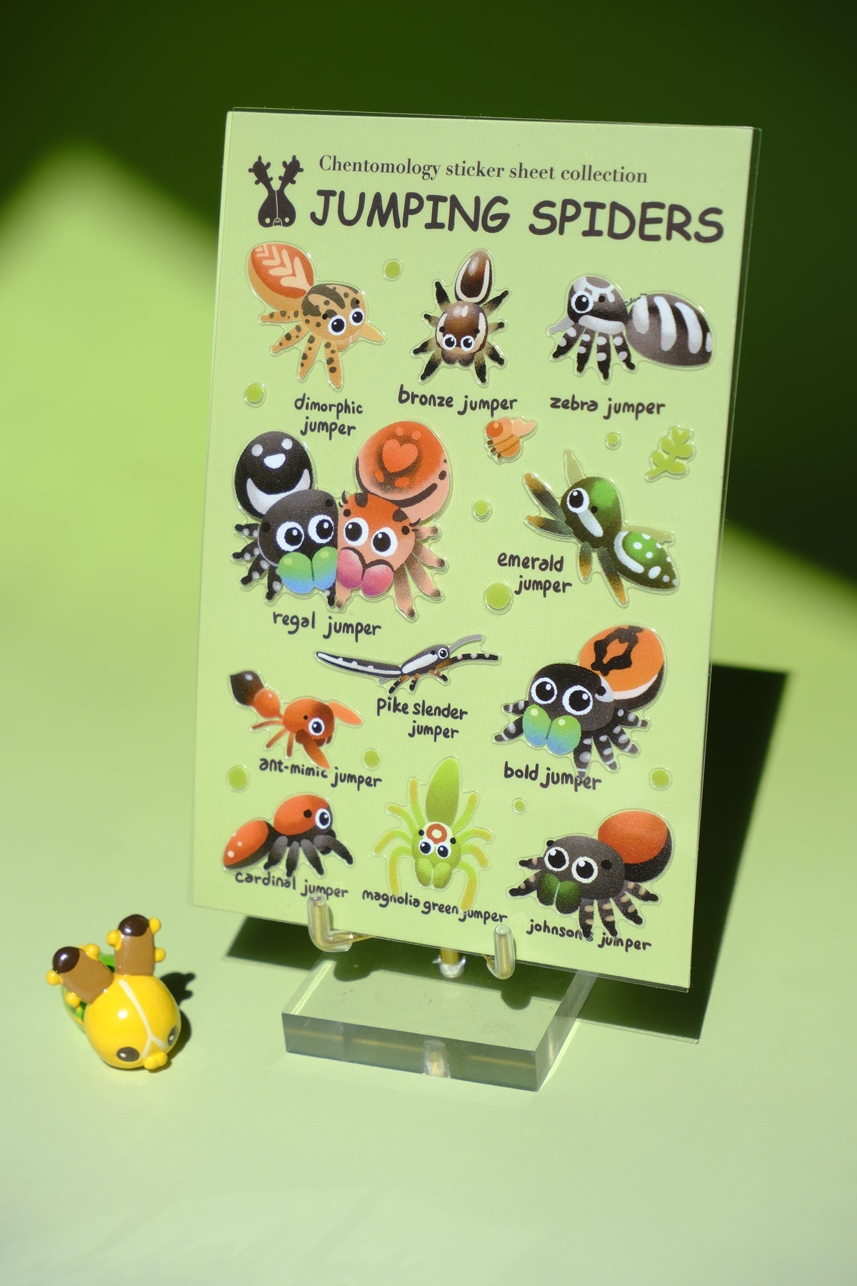 Spiderus Sticker Transparent sticker sheet - Jumping spiders – Chentomology Art