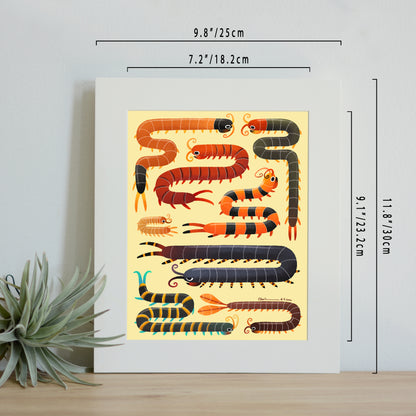Centipedes print