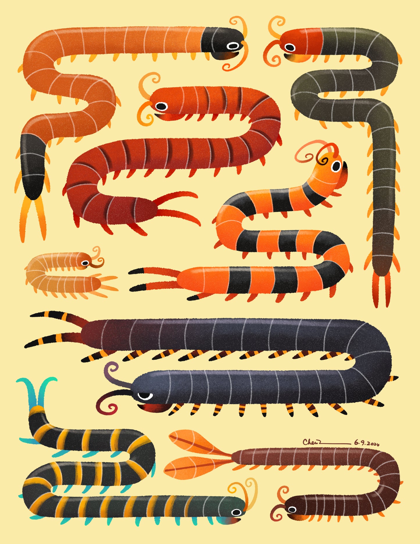 Centipedes print