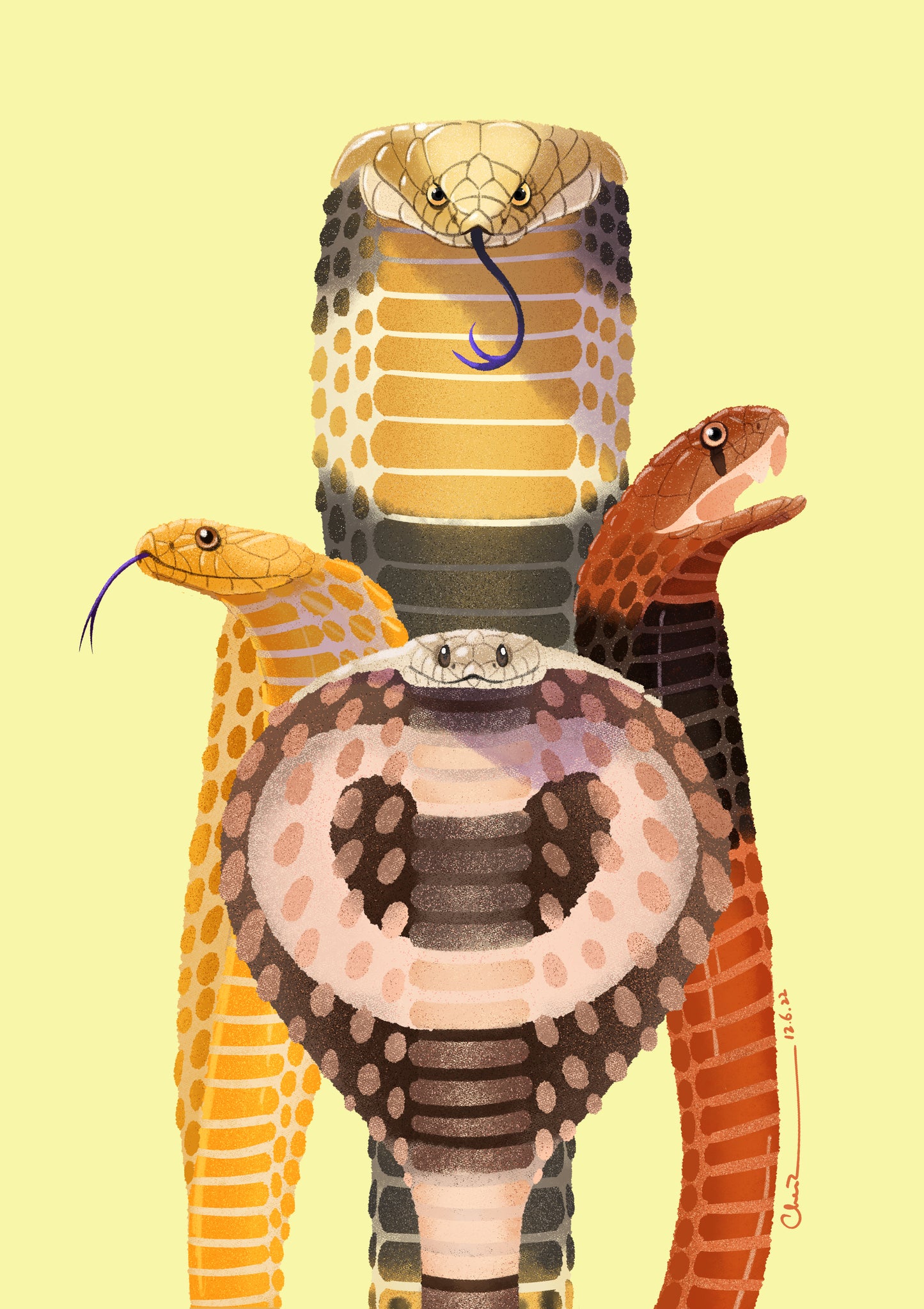 Cobras print