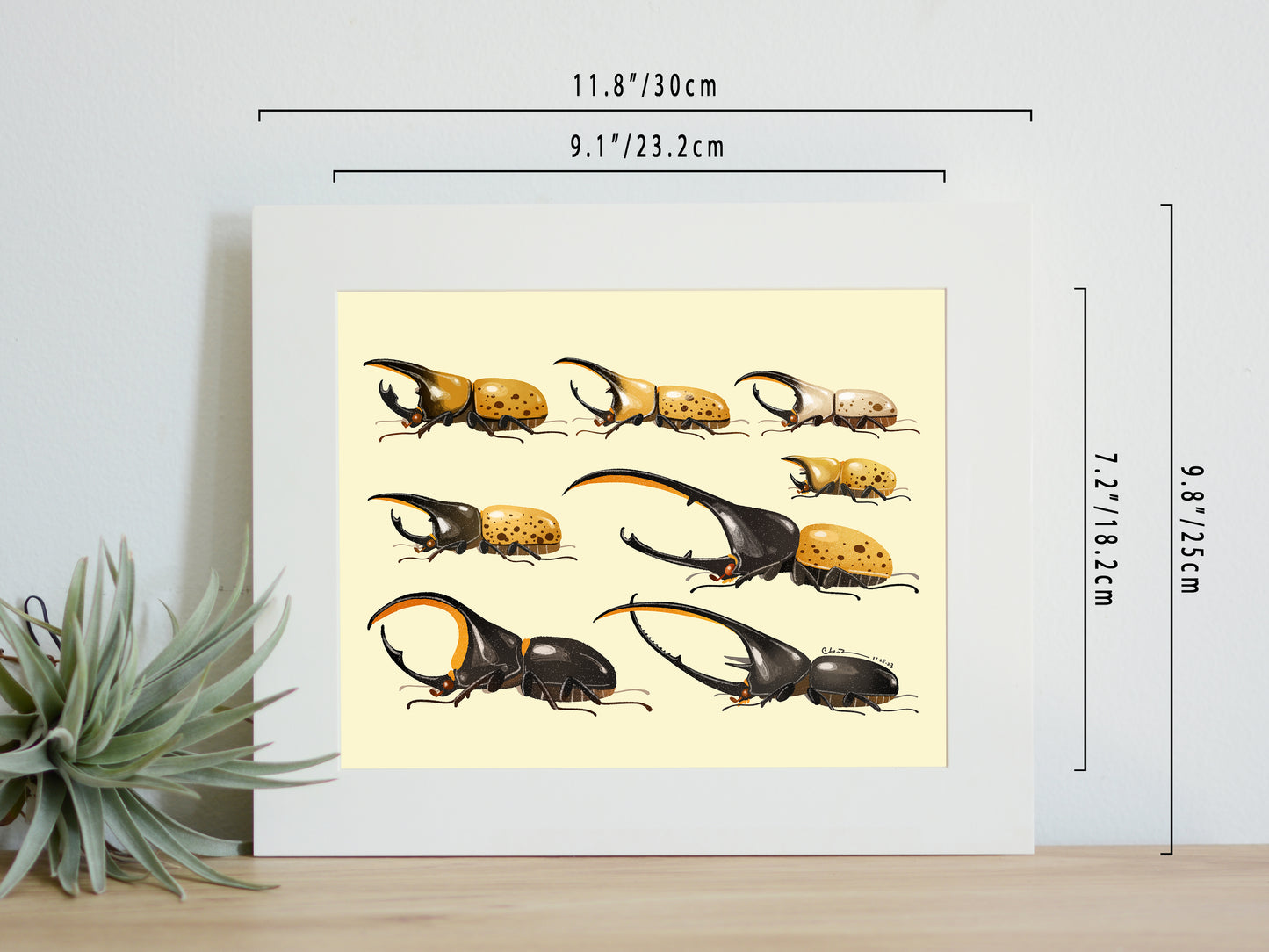 Hercules beetle print