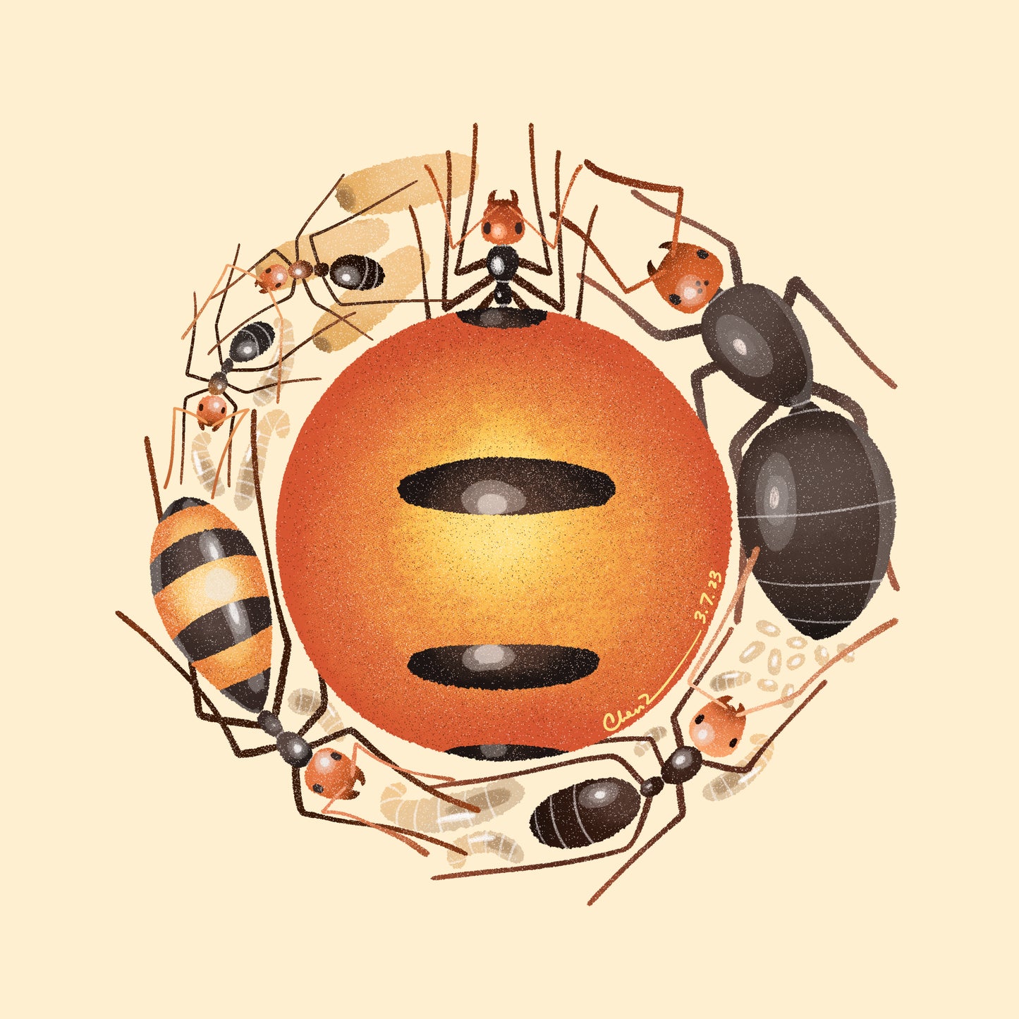 Honeypot ant print