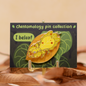 Leaf insect 2-layer bouncy enamel pin 1.5" - 3 variants