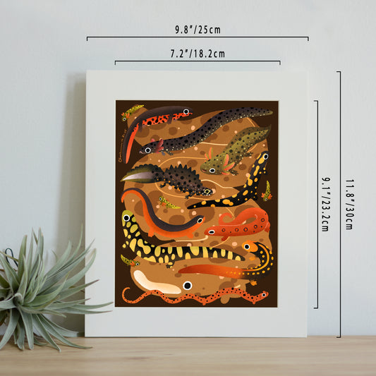 "Salamanders and newts" print