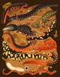 "Salamanders and newts" print