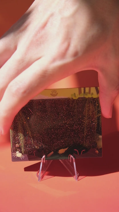 Betta swamp quick sand acrylic magnet