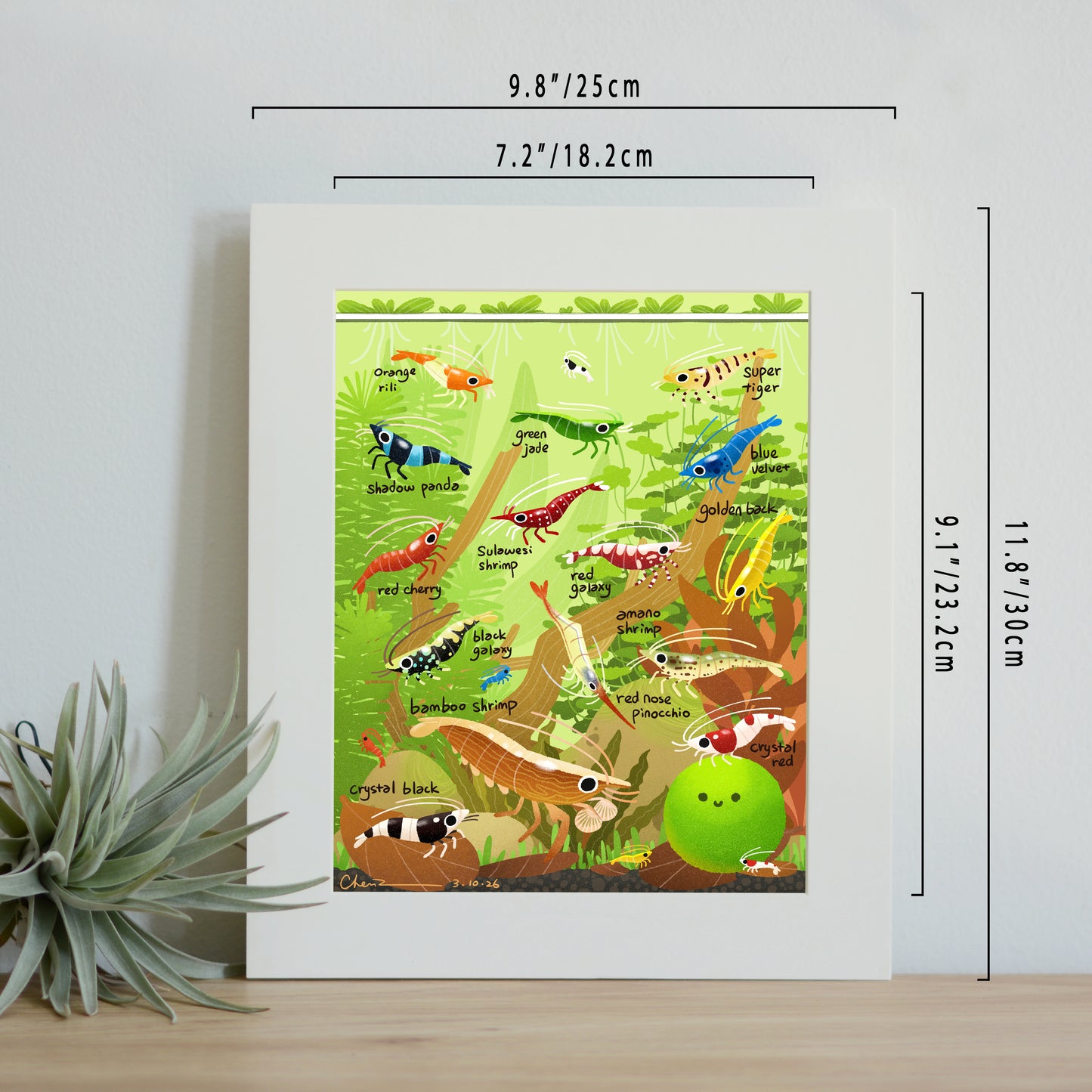 Shrimps print